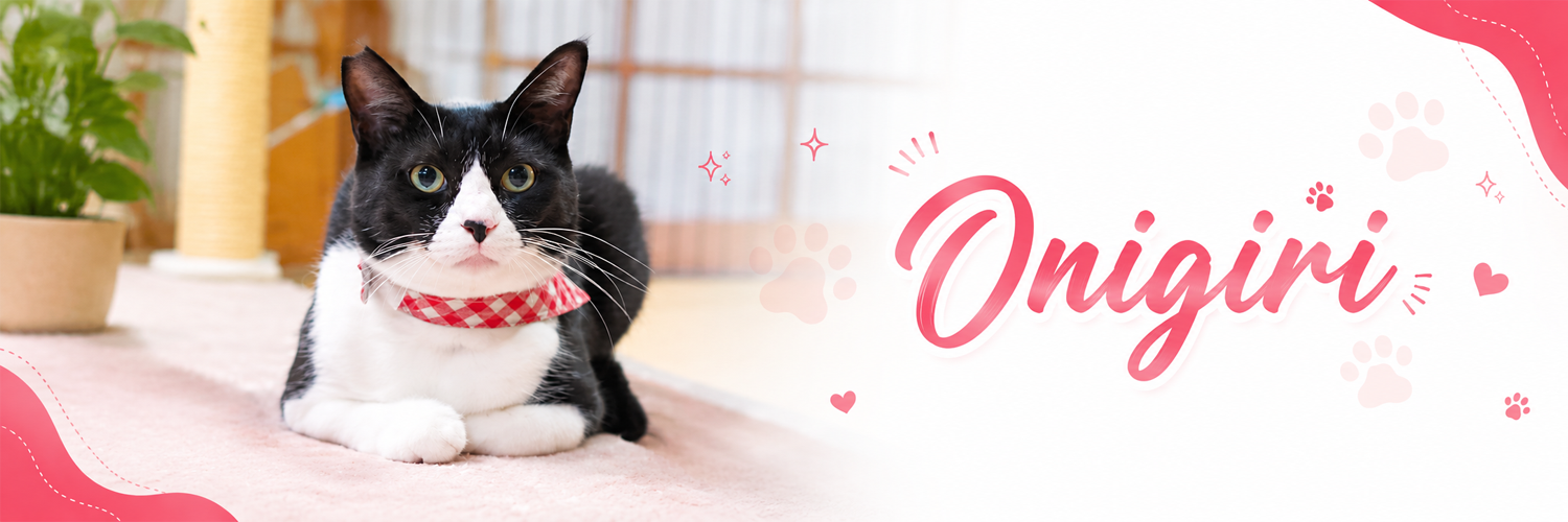 Onigiri banner — tuxedo cat with pink Onigiri lettering